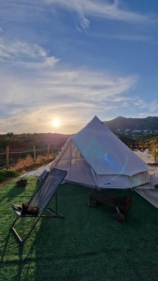 Glamping Finca El Olivo 米哈斯 外观 照片